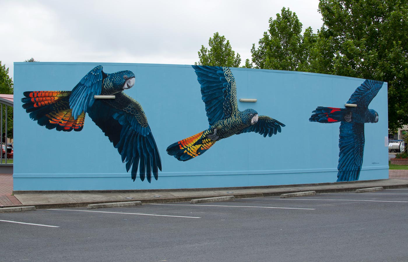 Naracoorte Mural