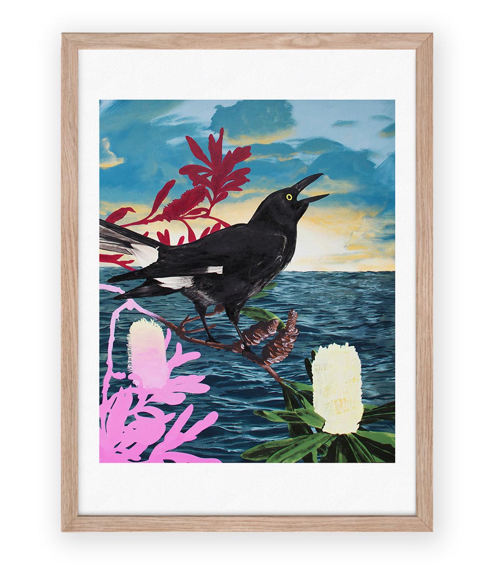 Currawong Limited Edition Print