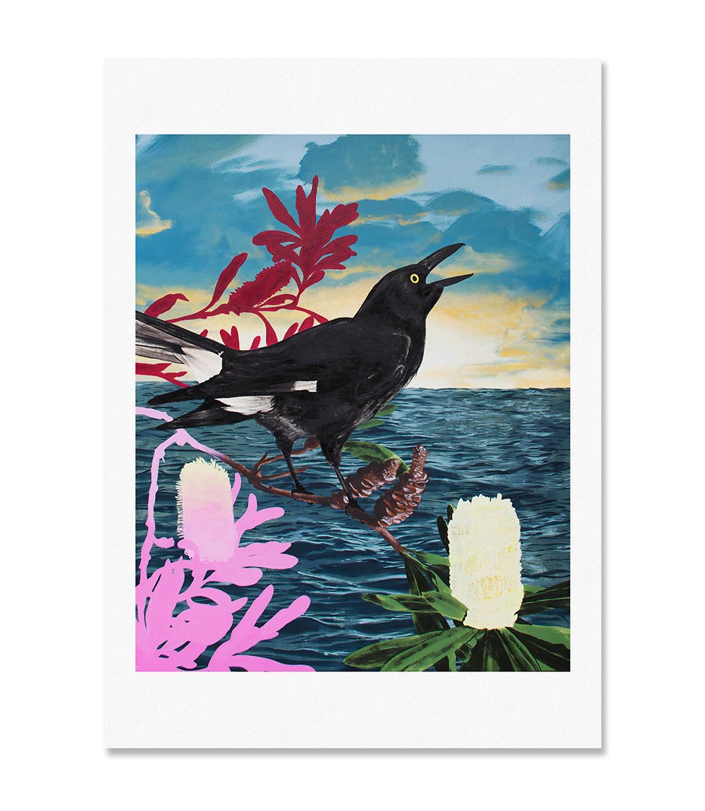 Currawong Limited Edition Print