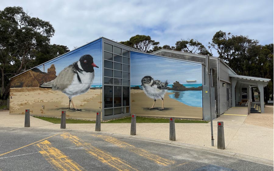Across Australia, Carran’s Murals of Birdlife Explore Human Identity and Connection to Place