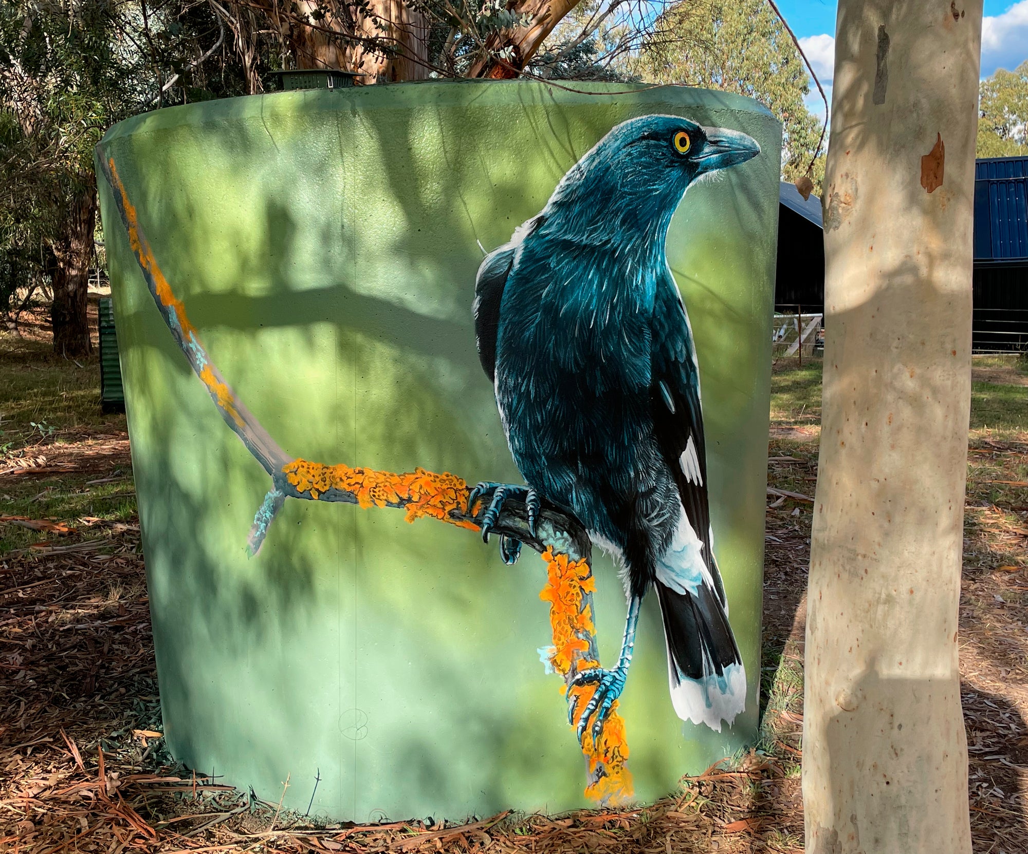 painted mural of a pair of birds perched on lichen covered branch. painted on a water tank by artist Geoffrey Carran