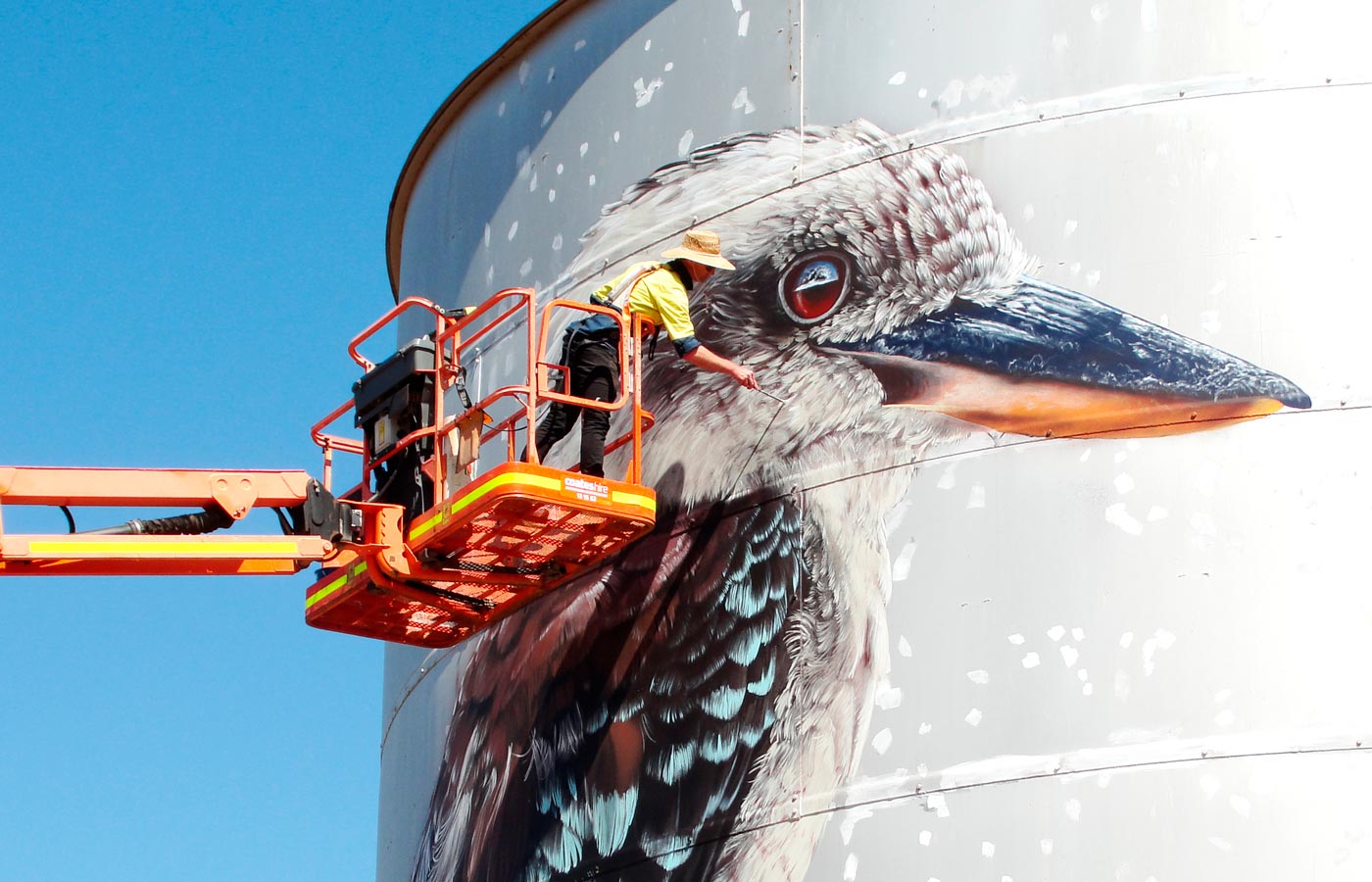 'Birds Eye View' GrainCorp Silos, Goroke