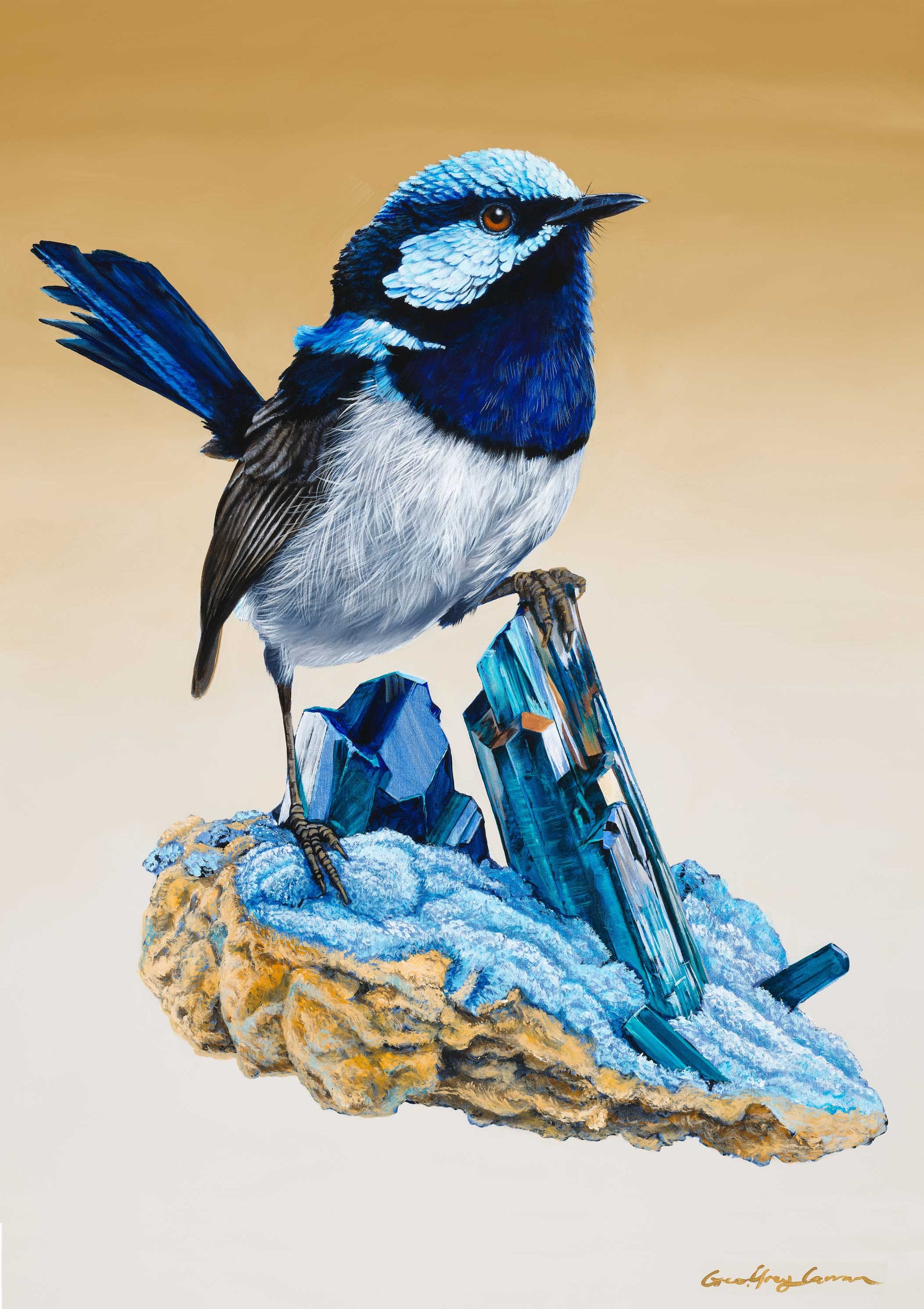 Superb Fairywren on Vivianite Crystals Australian bird art print- framed full sized print by Geoffrey Carran  limited edition Print