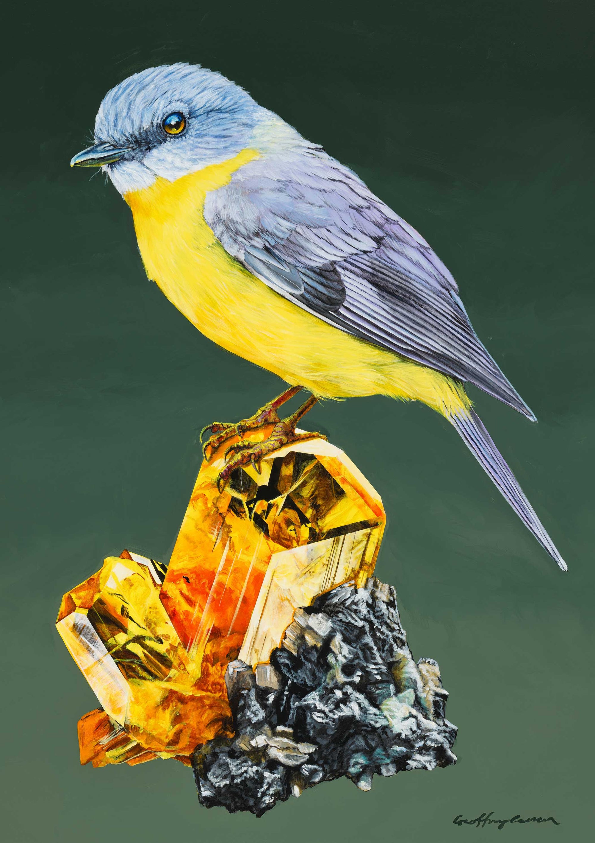 Eastern Yellow Robin Australian bird painting print framed with full bleed print by Geoffrey Carran. 