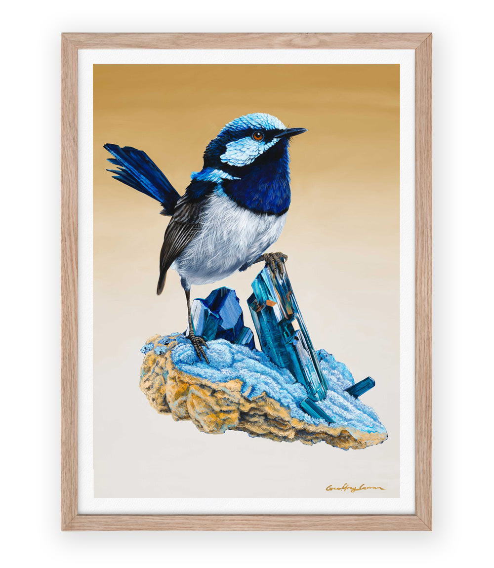 Superb Fairywren on Vivianite Crystals Australian bird art print- framed with white border by Geoffrey Carran  limited edition Print
