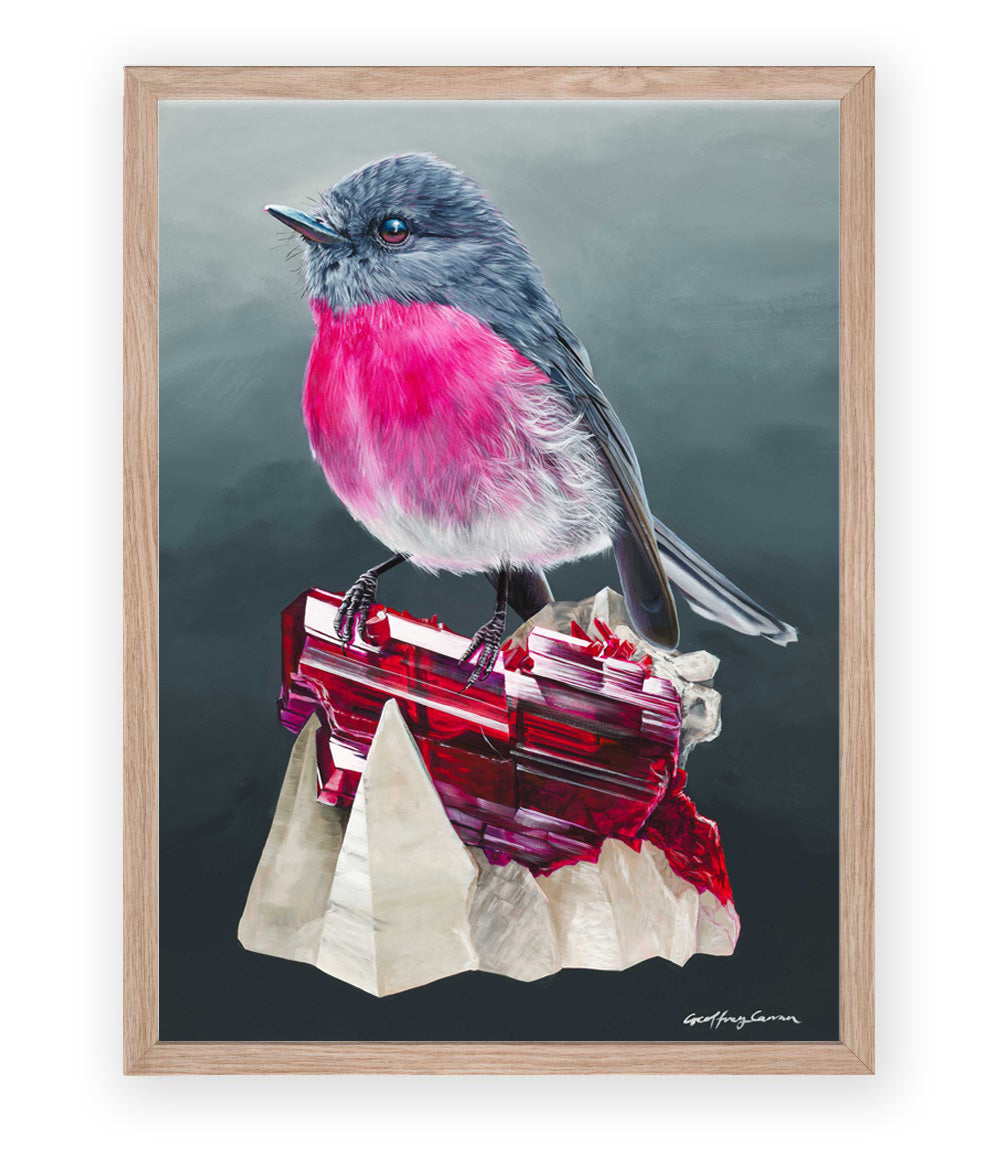 Rose Robin on Rhodonite Australian bird painting Framed Full Bleed Print by Geoffrey Carran. 