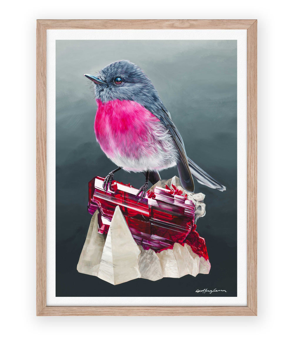 Rose Robin on Rhodonite Australian bird painting print Framed with white border by Geoffrey Carran. 