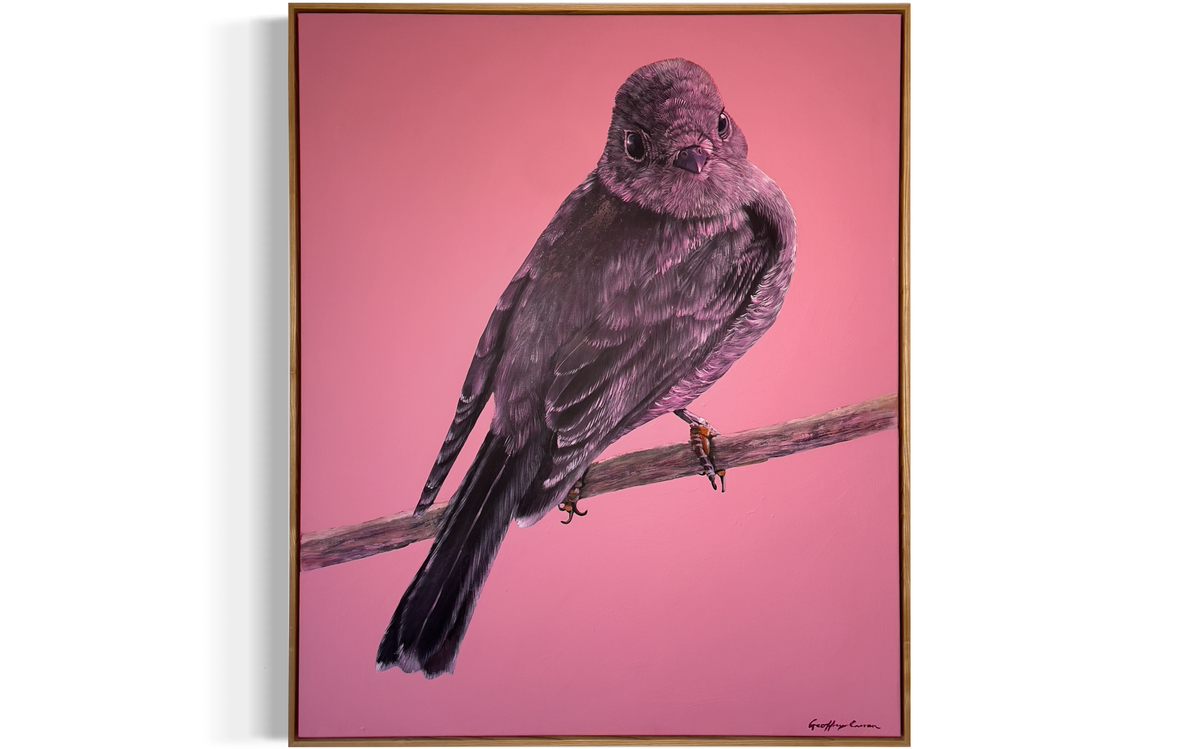 &quot;So often it is the vibrantly colourful Male Rose Robin- Petroica Rosea that is showcased, photographed or painted, this painting is celebration of the beauty and subtle colours of the female. As a colourist I love working with pinks, there is so much nuance to them&quot;Geoffrey Carran