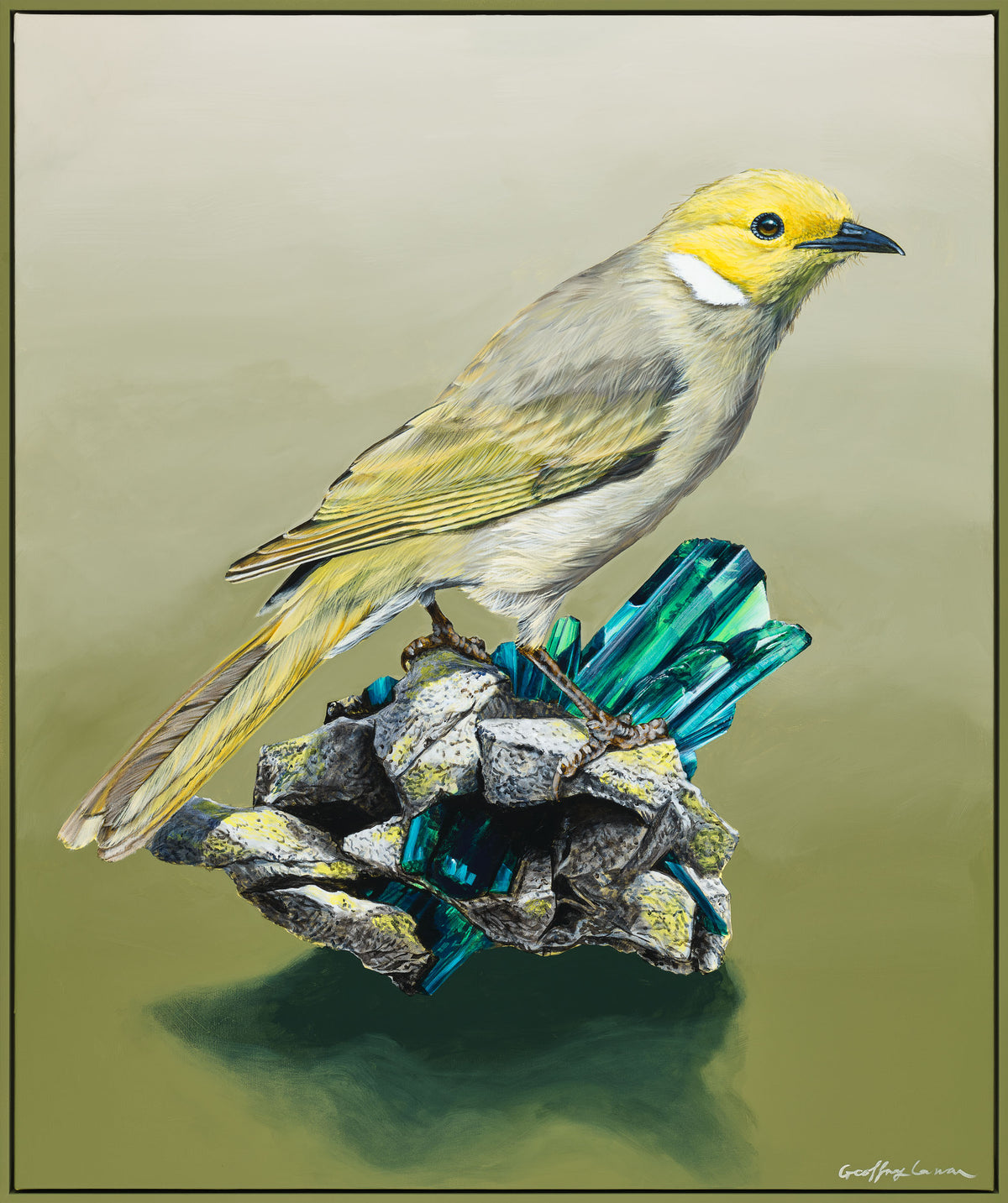 Granite pegmatites, Viviante and a White Plumbed Honeyeater