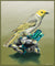 Granite pegmatites, Viviante and a White Plumbed Honeyeater