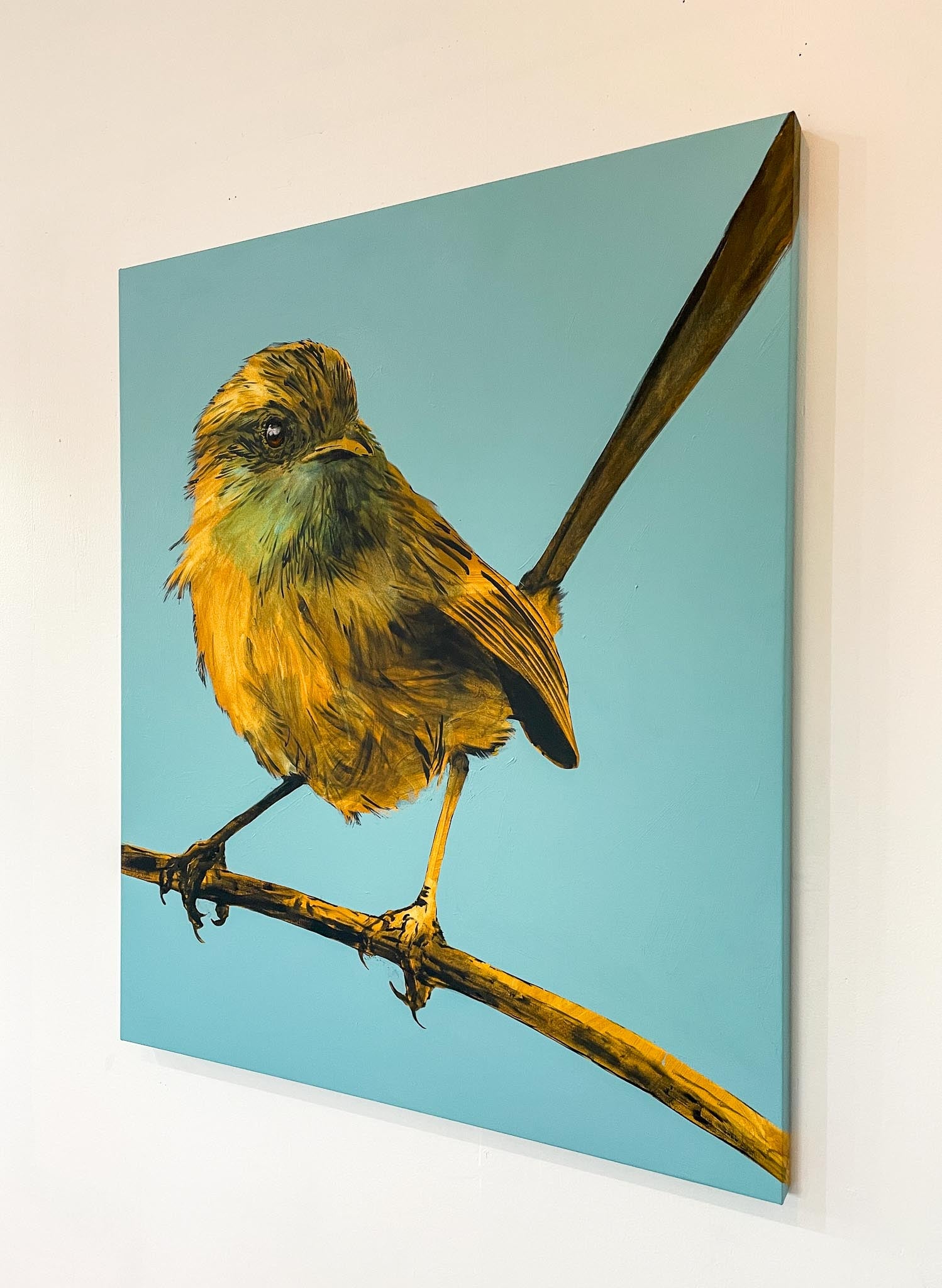 Bird perched on a branch with a blue background