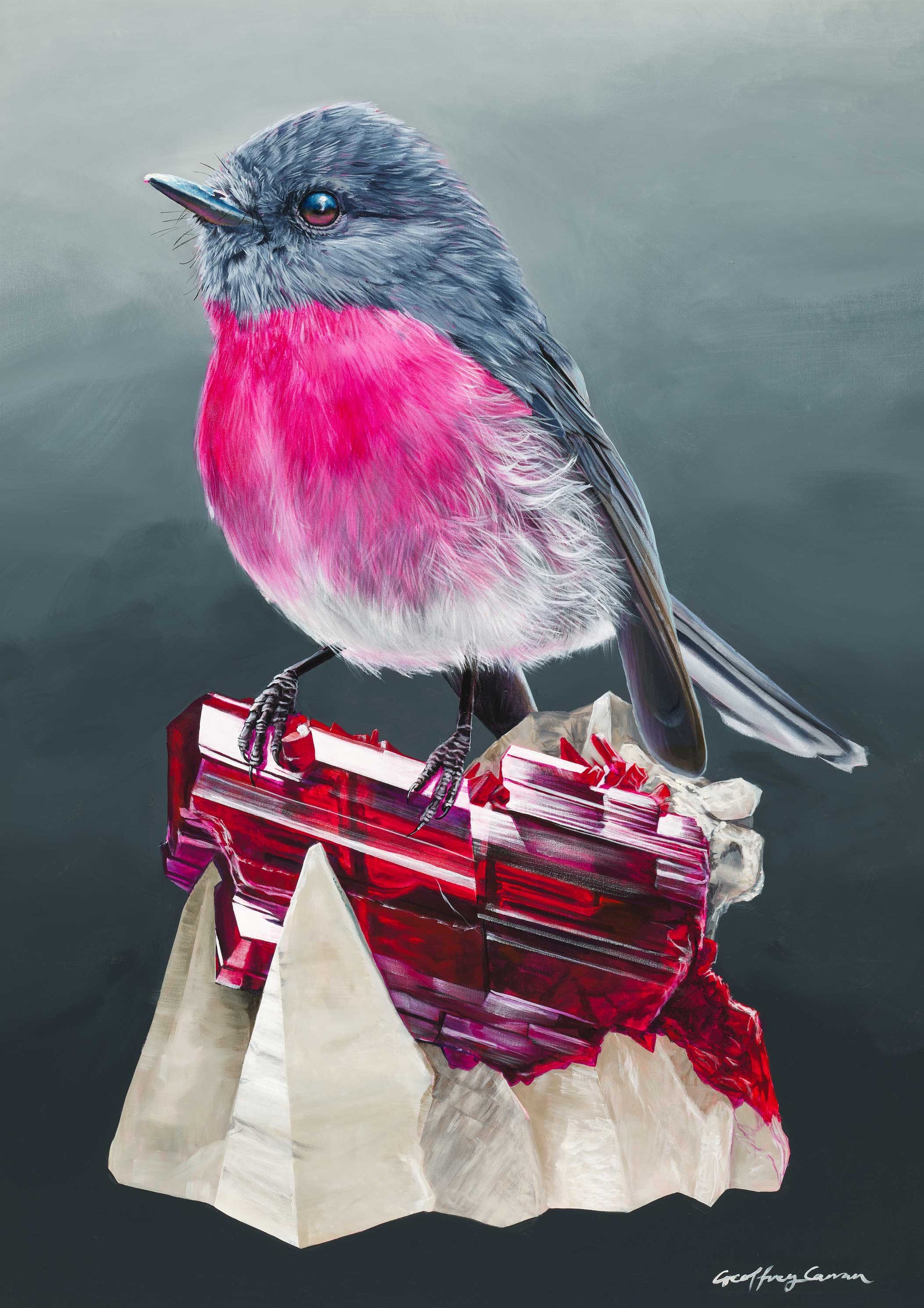 Rose Robin on Rhodonite Australian bird painting print  by Geoffrey Carran. 