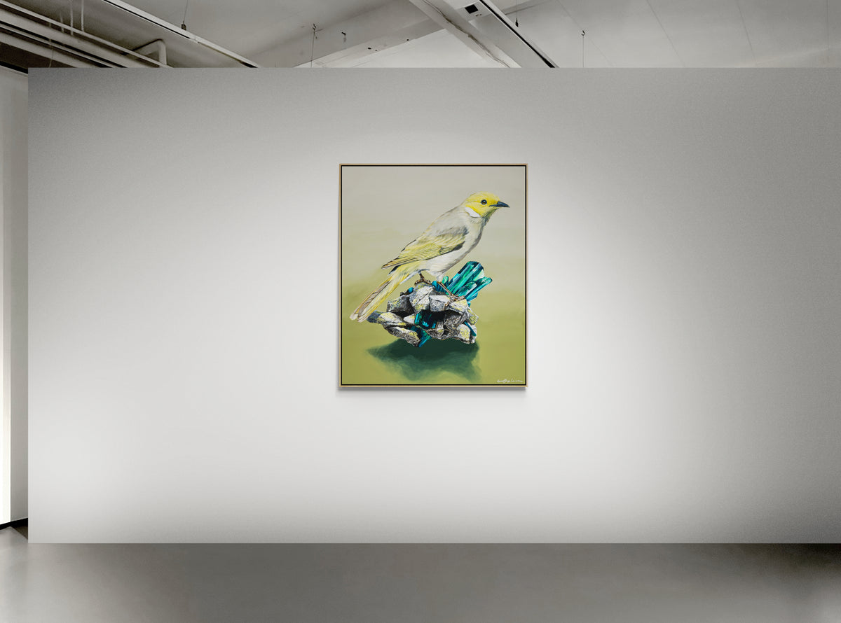 &#39;Spectra&#39; Canvas prints- White-plumed Honeyeater on Vivianite Pegmatites