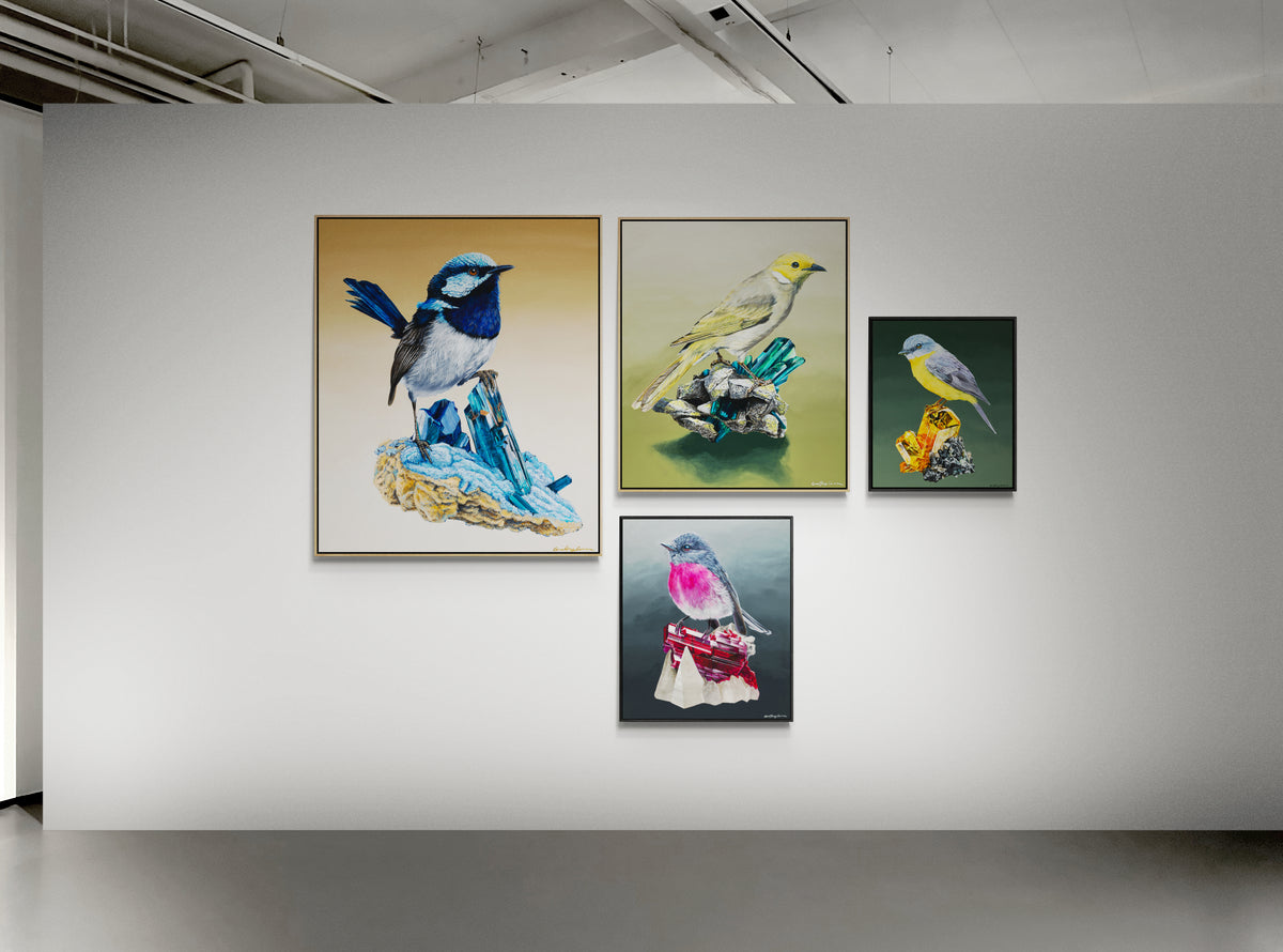 &#39;Spectra&#39; Canvas prints- White-plumed Honeyeater on Vivianite Pegmatites
