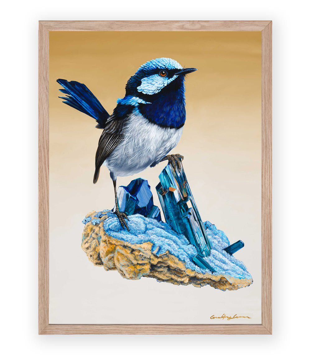 Superb Fairywren on Vivianite Crystals Australian bird art print- framed full sized print by Geoffrey Carran  limited edition Print