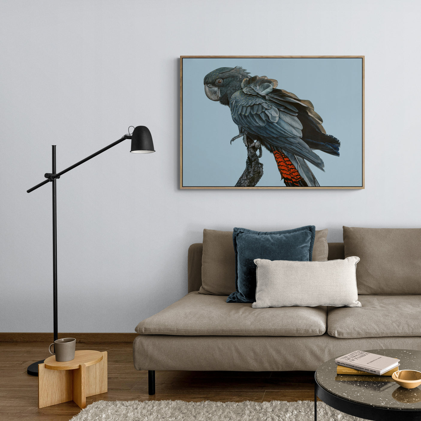 Optimism! Juvenile Forest Redtailed Black Cockatoo Print