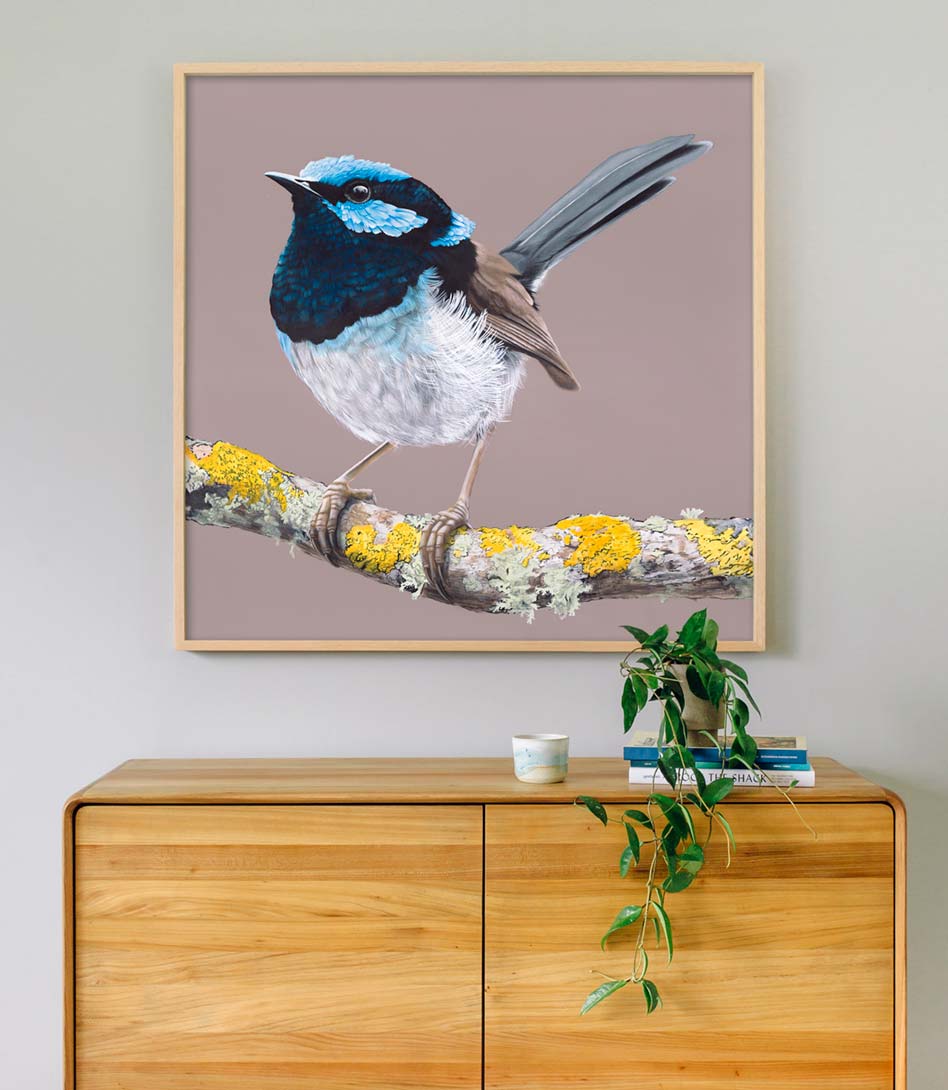 Blue Wren Limited Edition Print