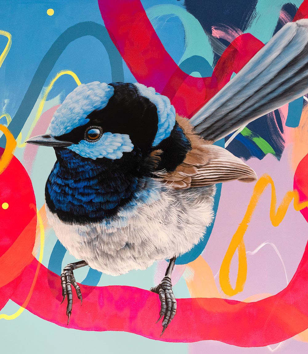 Blue Wren - Joan Kirner Hospital Collaborative Print