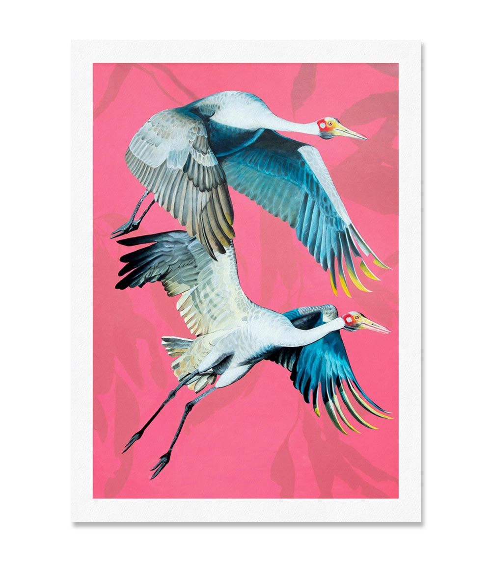 Brolgas Limited Edition Print