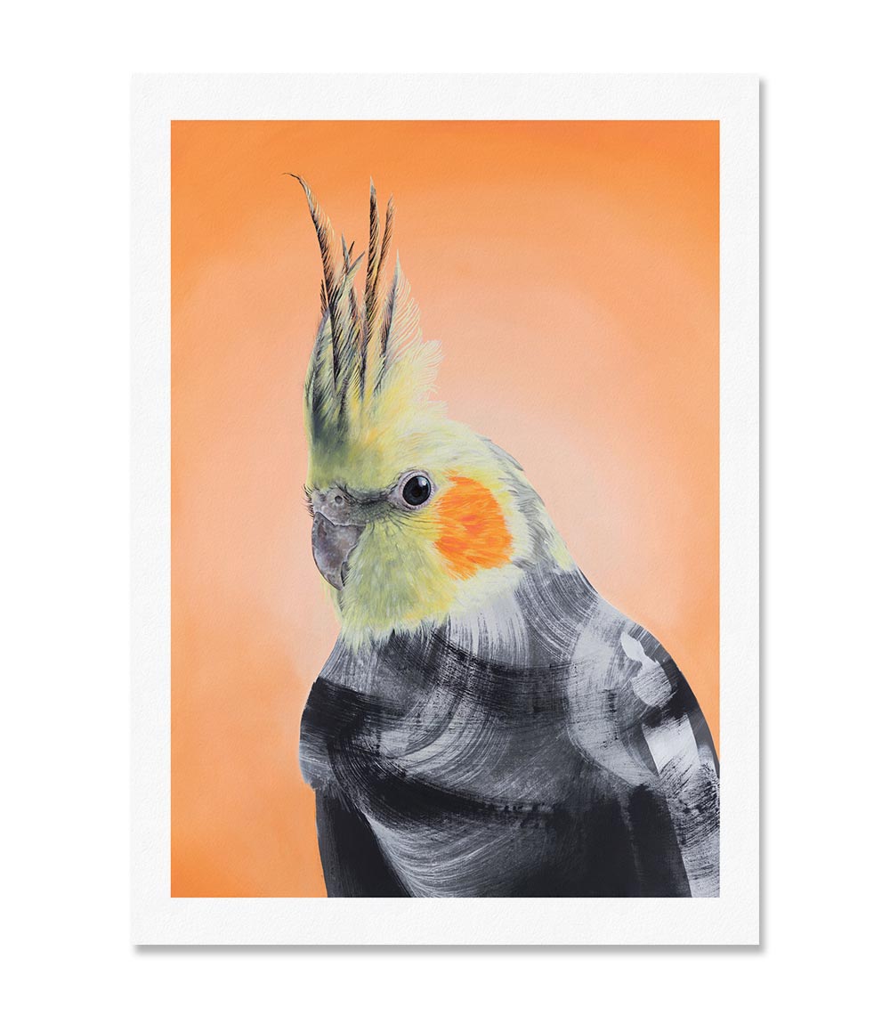 Cockatiel Limited Edition Print