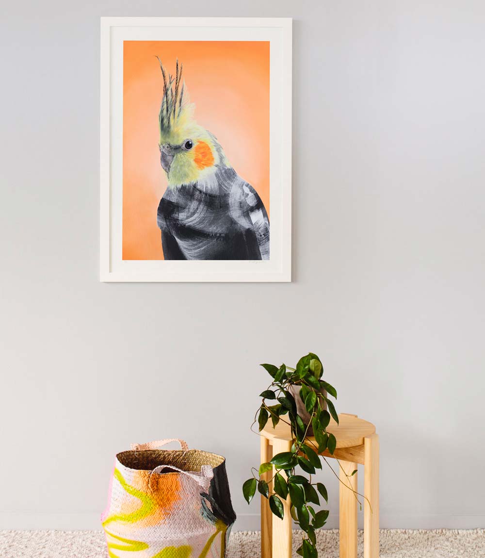 Cockatiel Limited Edition Print