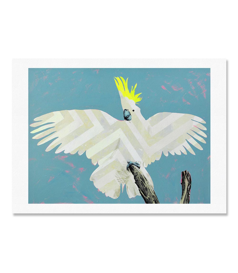 Cocky Landing Limited Edition Print