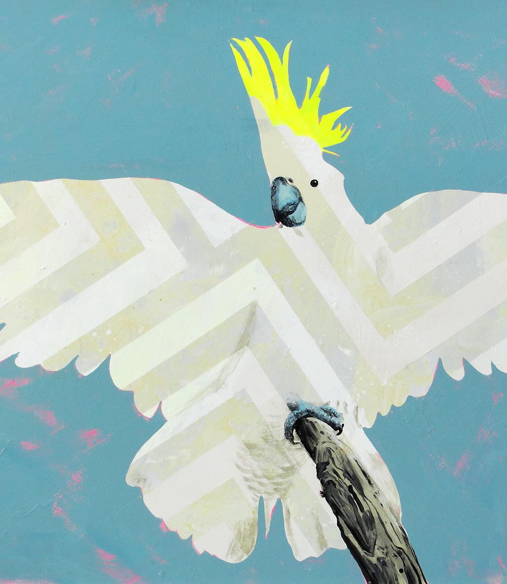 Cocky Landing Limited Edition Print