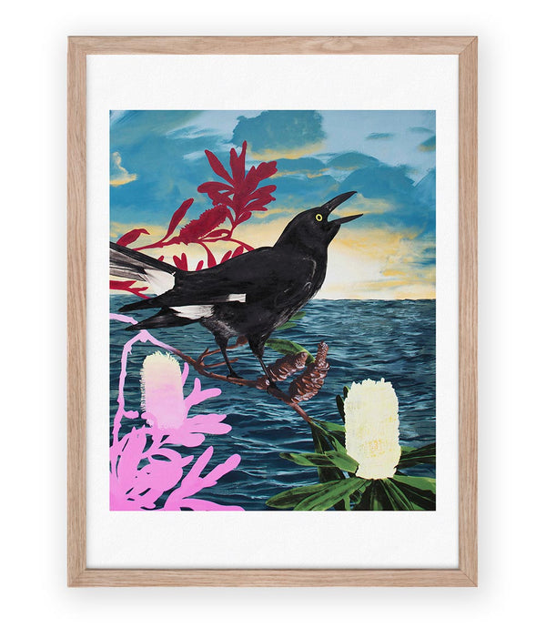 Currawong Limited Edition Art Print - Geoffrey Carran