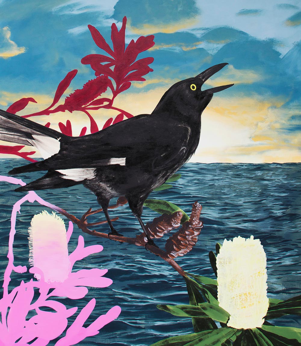Currawong Limited Edition Print