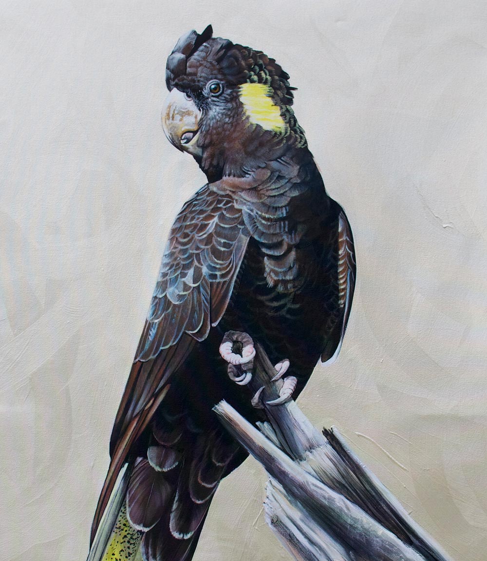 Equinox Limited Edition Print