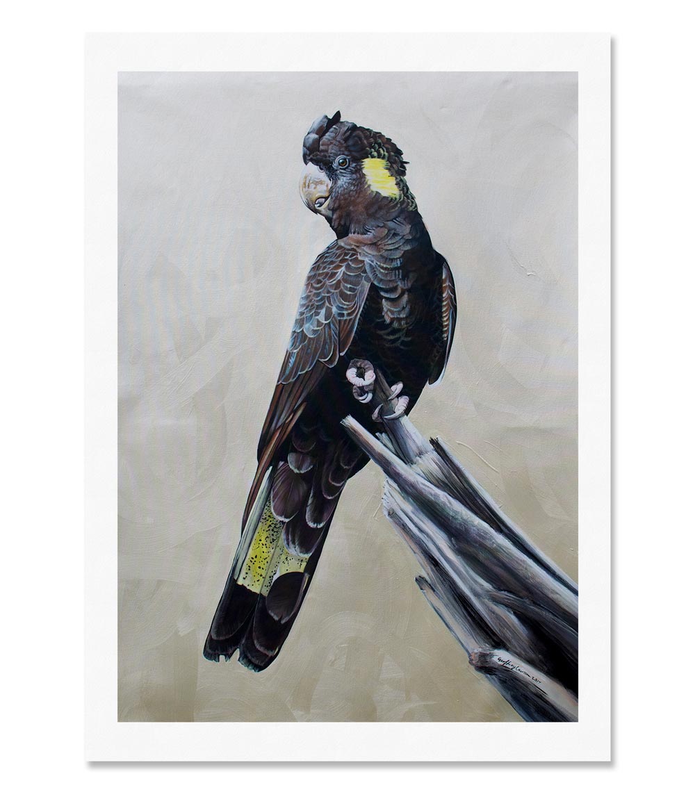 Equinox Limited Edition Print