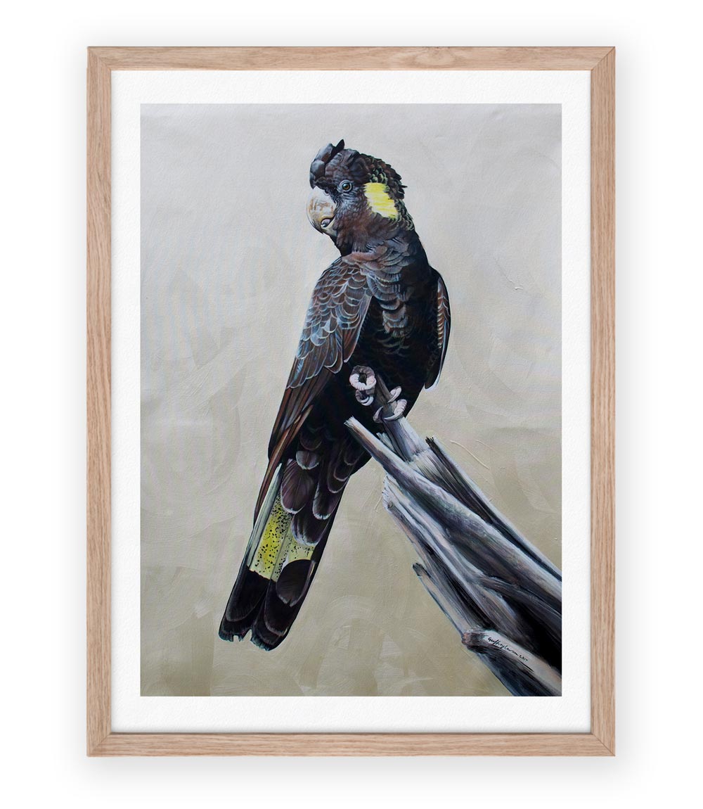 Equinox Limited Edition Print