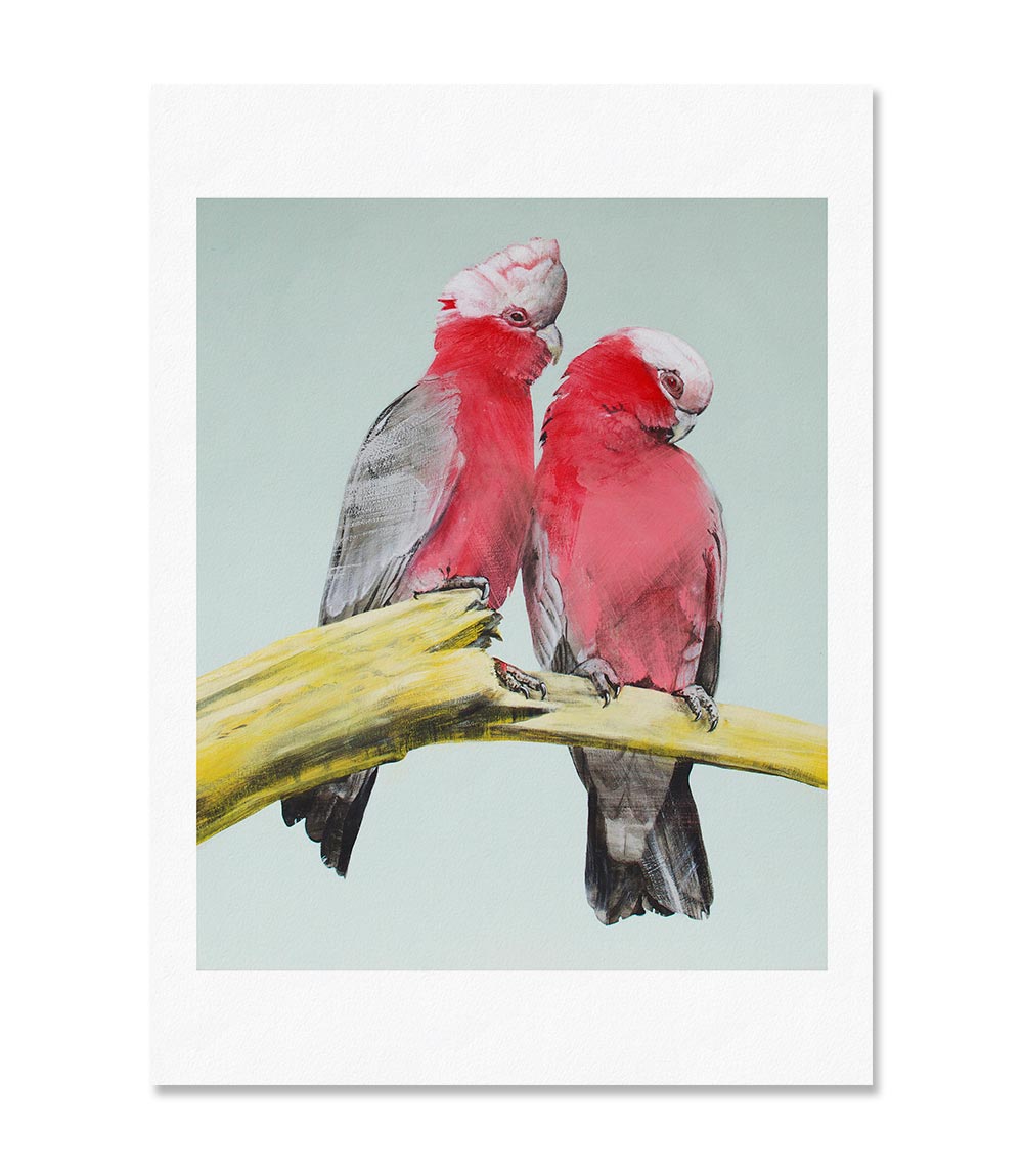 Galahs Limited Edition Print