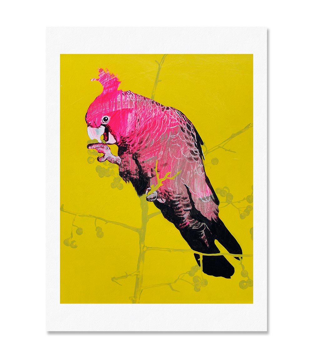 Gang Gang Limited Edition Print