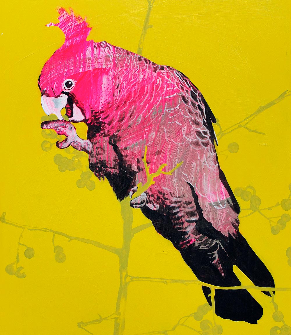 Gang Gang Limited Edition Print