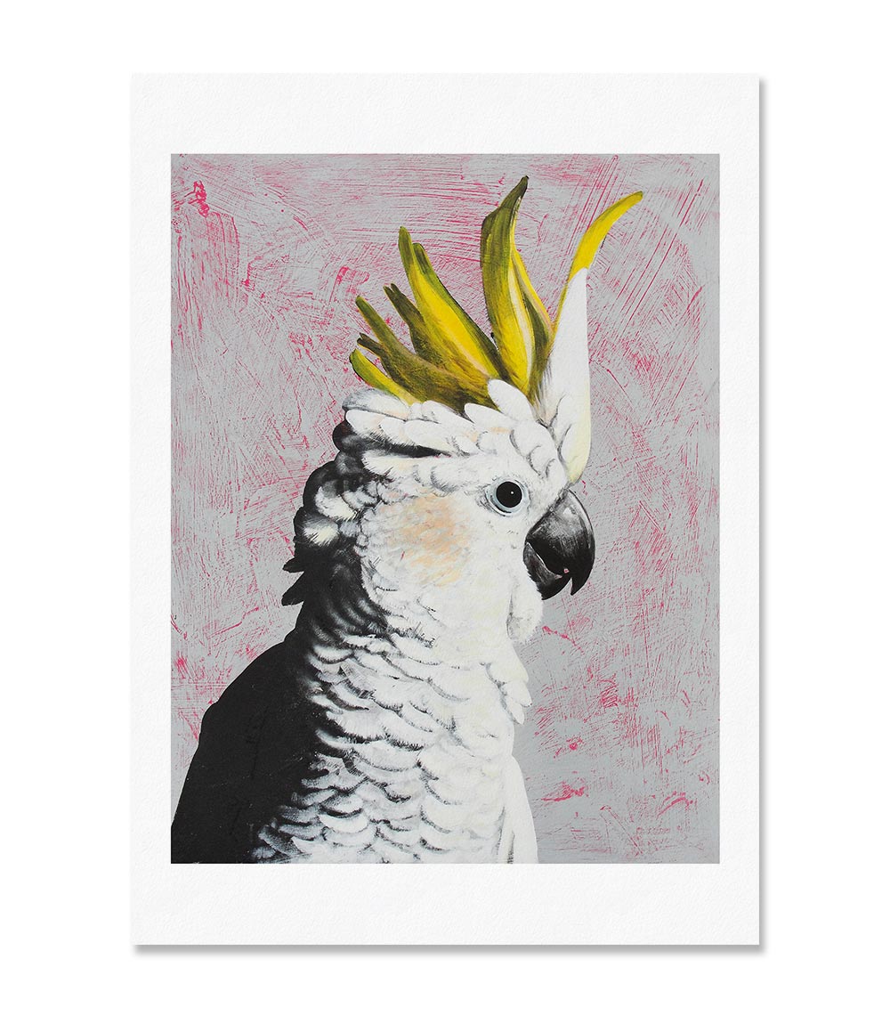 Gough Limited Edition Print