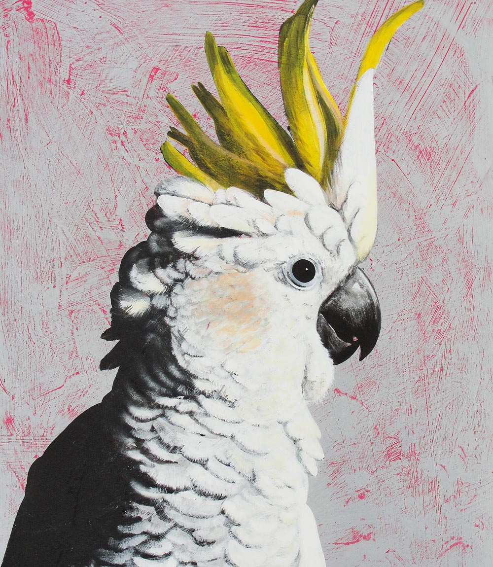 Gough Limited Edition Print