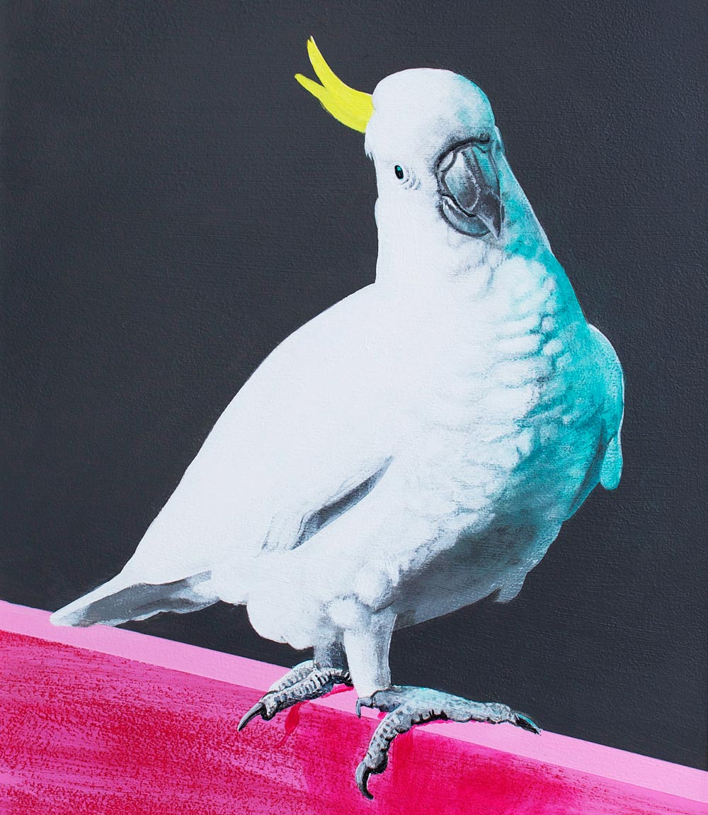 Hot Stepper Limited Edition Print