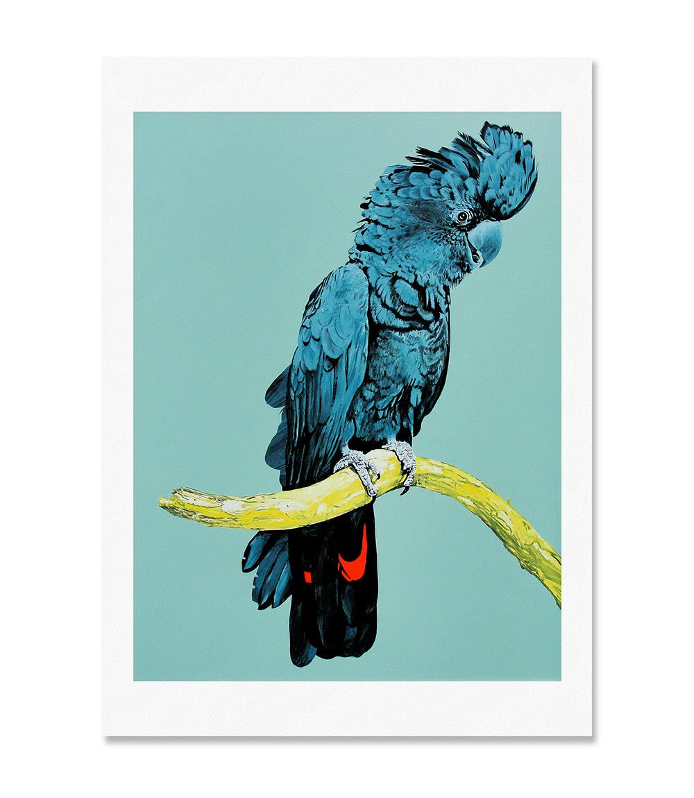 Joseph Banksii Limited Edition Print