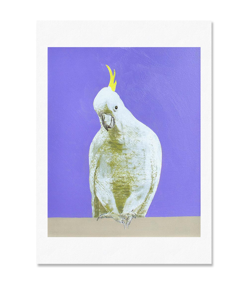 Lilac Cockatoo Limited Edition Print