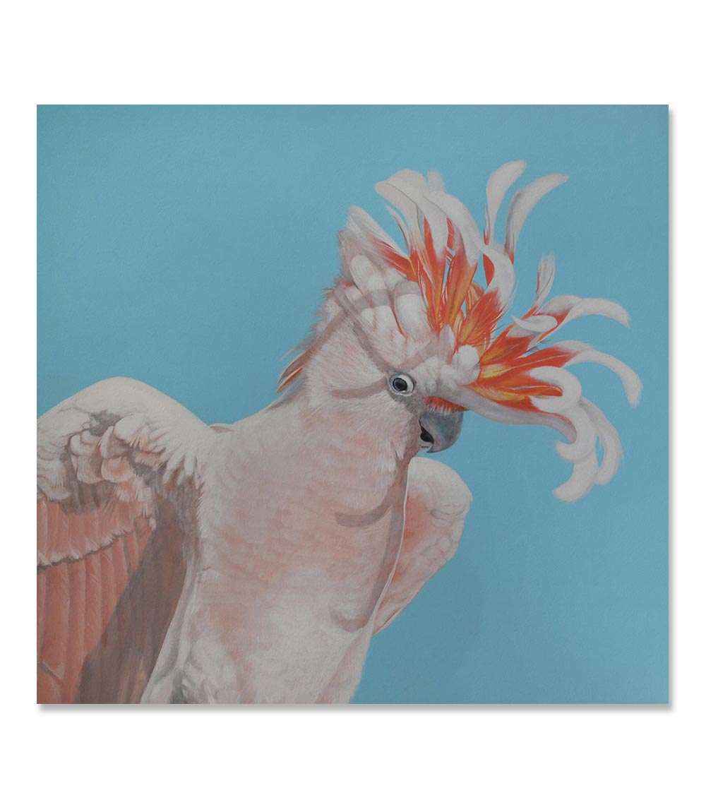 Major Mitchell Limited Edition Print