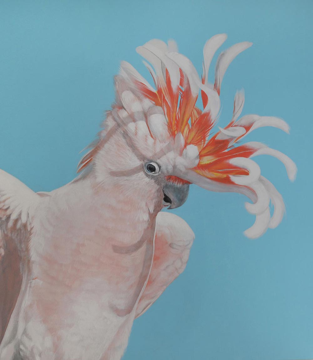 Major Mitchell Limited Edition Print