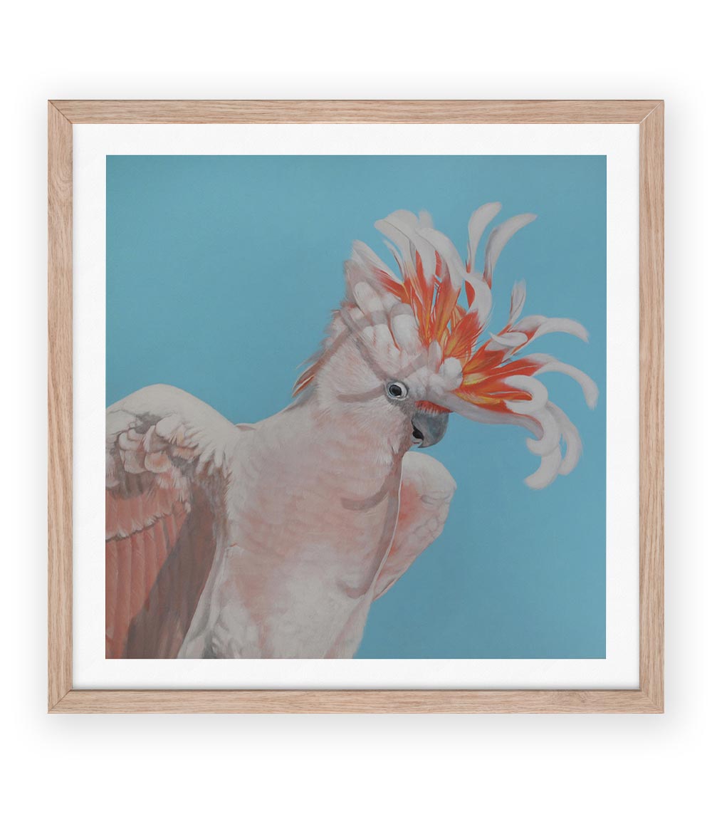 Major Mitchell Limited Edition Print