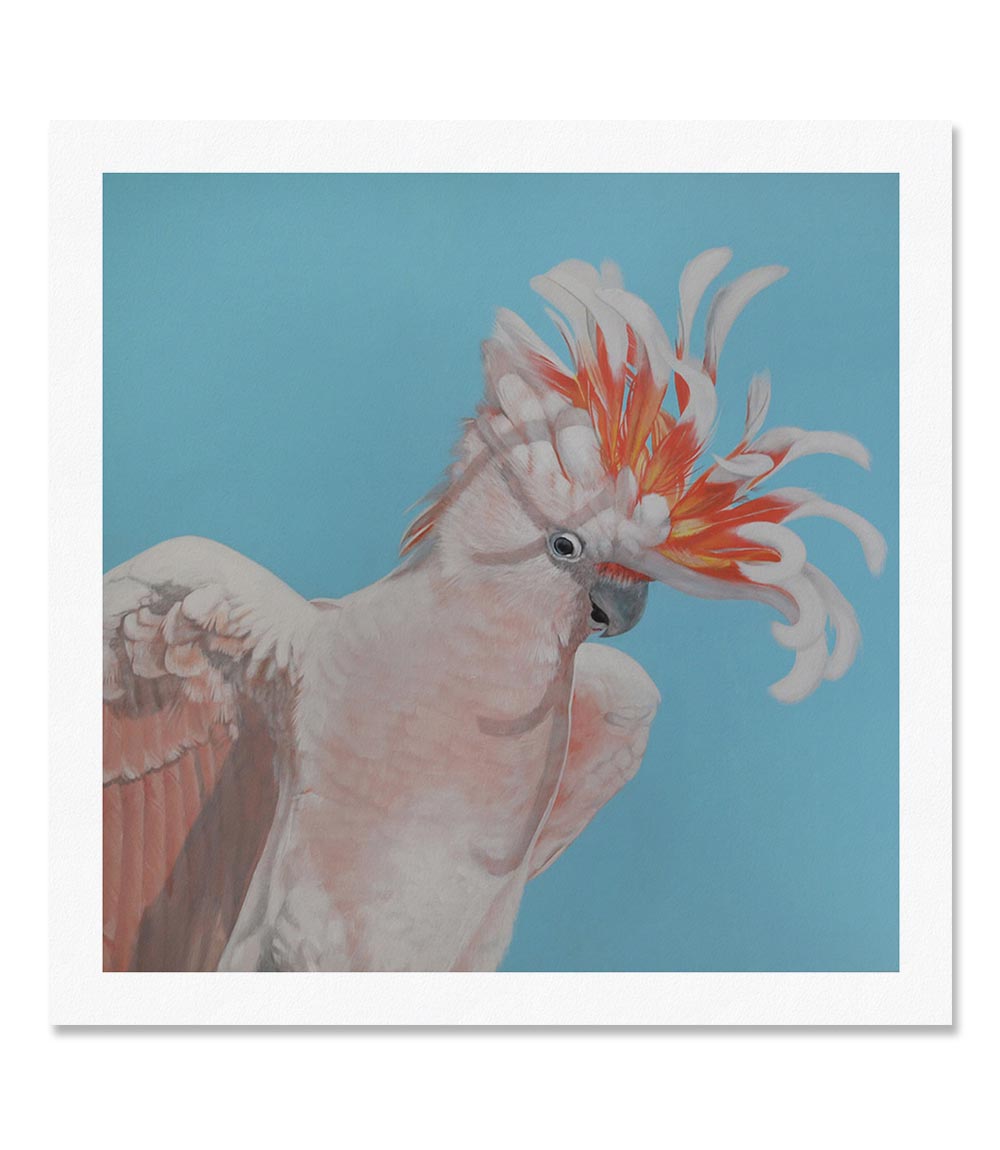 Major Mitchell Limited Edition Print