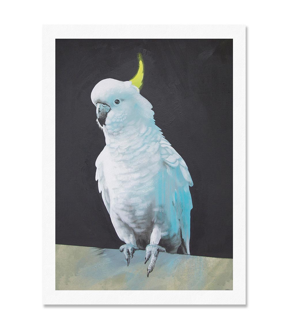 Morning Routine Limited Edition Print