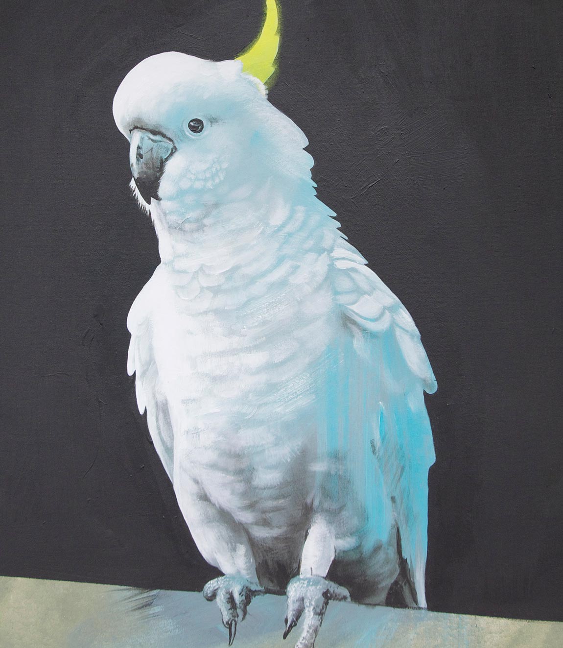 Morning Routine Limited Edition Print