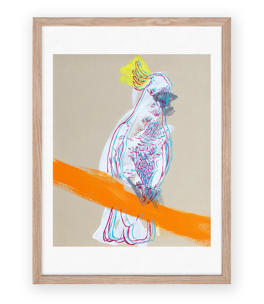 Cockatoo Australian Bird Art Print by Geoffrey Carran Framed 