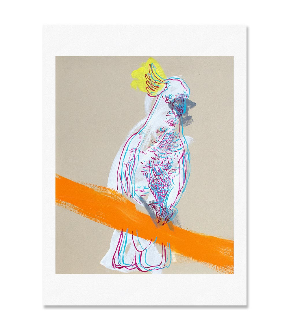 Cockatoo Australian Bird Art Print by Geoffrey Carran 