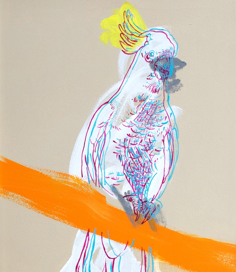 Cockatoo Australian Bird Art Print by Geoffrey Carran 