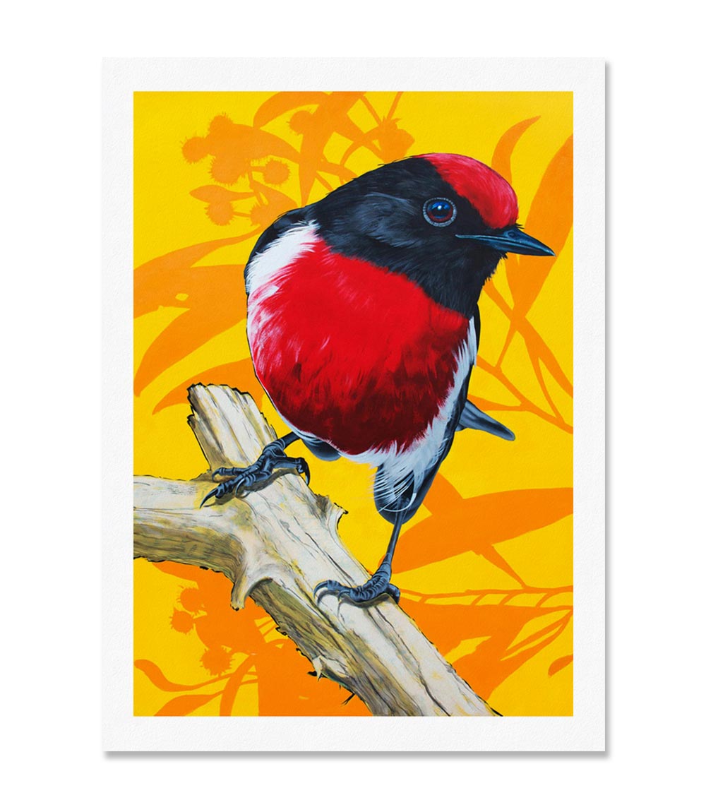 Red Robin Print Limited Edition Print